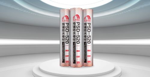 東方雨虹 在擔(dān)當(dāng)實(shí)干中奮力書寫高質(zhì)量發(fā)展新篇章